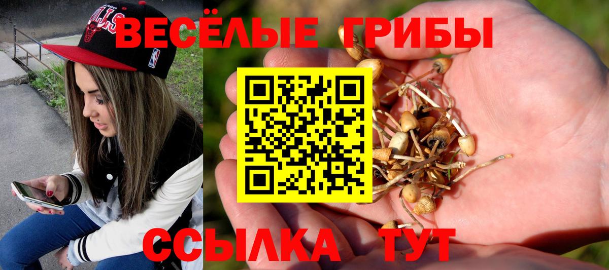 Галлюциногенные грибы GOLDEN TEACHER  Вход с VPN  Мирный  Галлюциногенные грибы GOLDEN TEACHER 