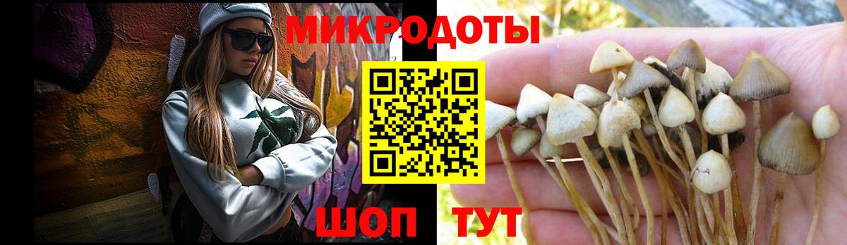 Псилоцибиновые грибы мицелий Мирный